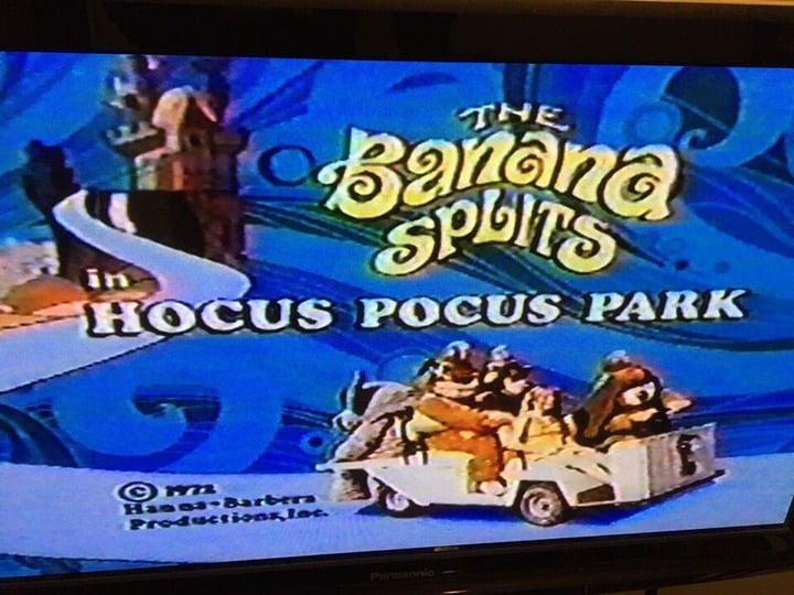 Cartoon Network 1994 Jetsons, Flintstones, Banana Splits Commercials VHS - detail