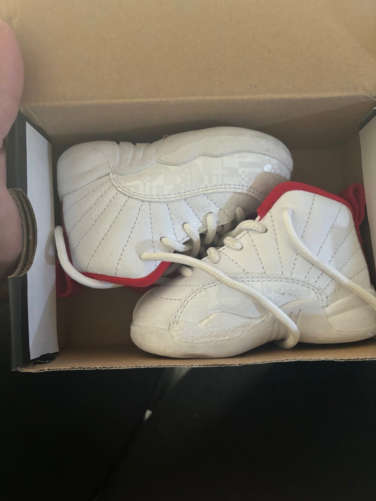 Jordan retro 12