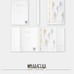 Light and Night Art Book