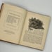 Barnes Primary School History Textbook, Antique US History Book