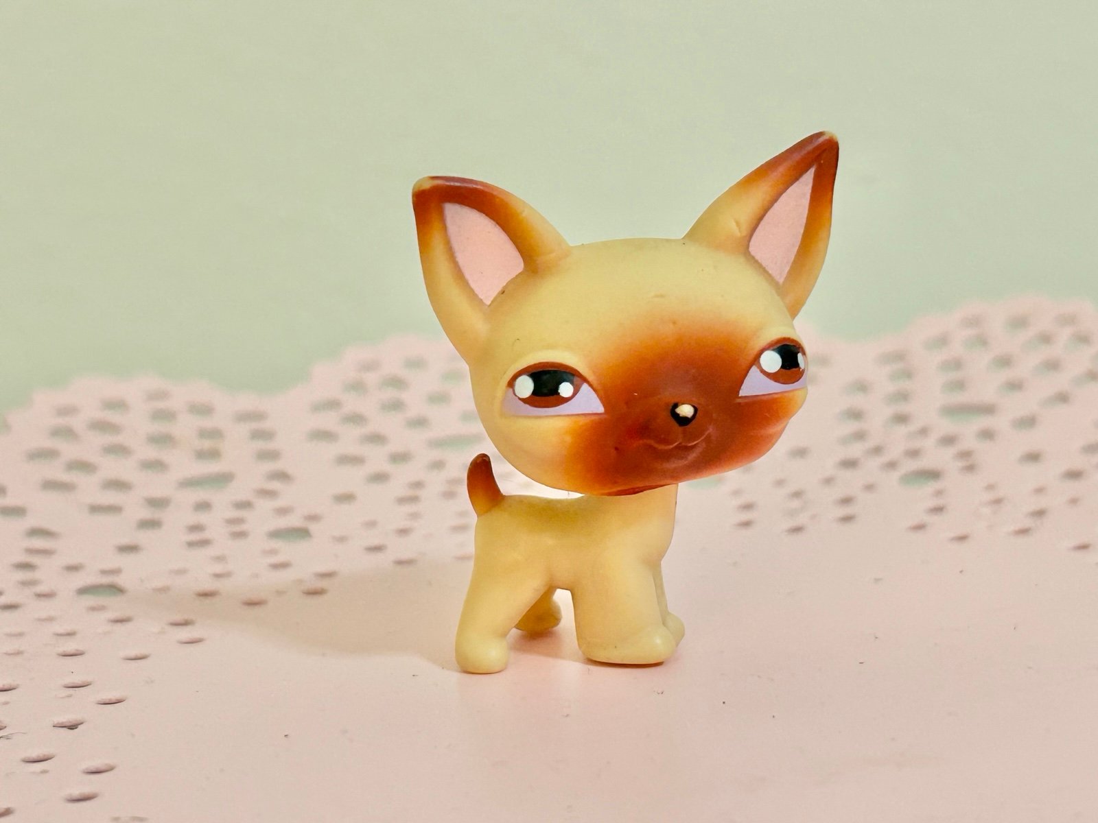 LPS 001 Chihuahua