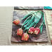 Canvas Throw Pillow Covers