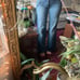 citizens of humanity birken wide leg