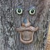 Tree Face Birdfeeder - Old Man with Glowing Eyes in Dark Outdoor Tree