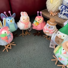 Targets spring birds 2023/24