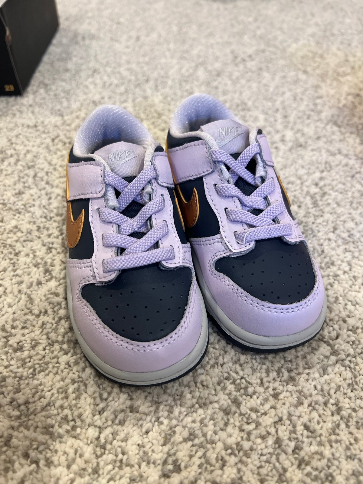 Nike dunk toddler