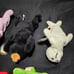 Lot of (7) Beanie Babies 4th Generation Tush / 4th Generation Hang 1993
