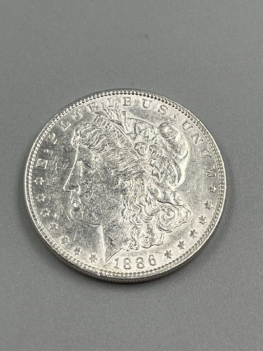 1886 Silver Morgan Dollar Fine-Extra Fine