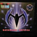 DC Comics Batman Beyond Batarang Light Up Wings