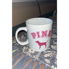 PINK VS Mug