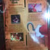 Captain Hook Barbie New Collector