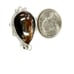 5 Pcs. Sterling Silver Gemstone Penndant