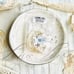 KENDRA SCOTT Emery Gold Tennis Necklace In White Crystal NWT