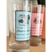 RARE Anthropologie Dessert Diaries Carrot Cake & Cheesecake Glasses