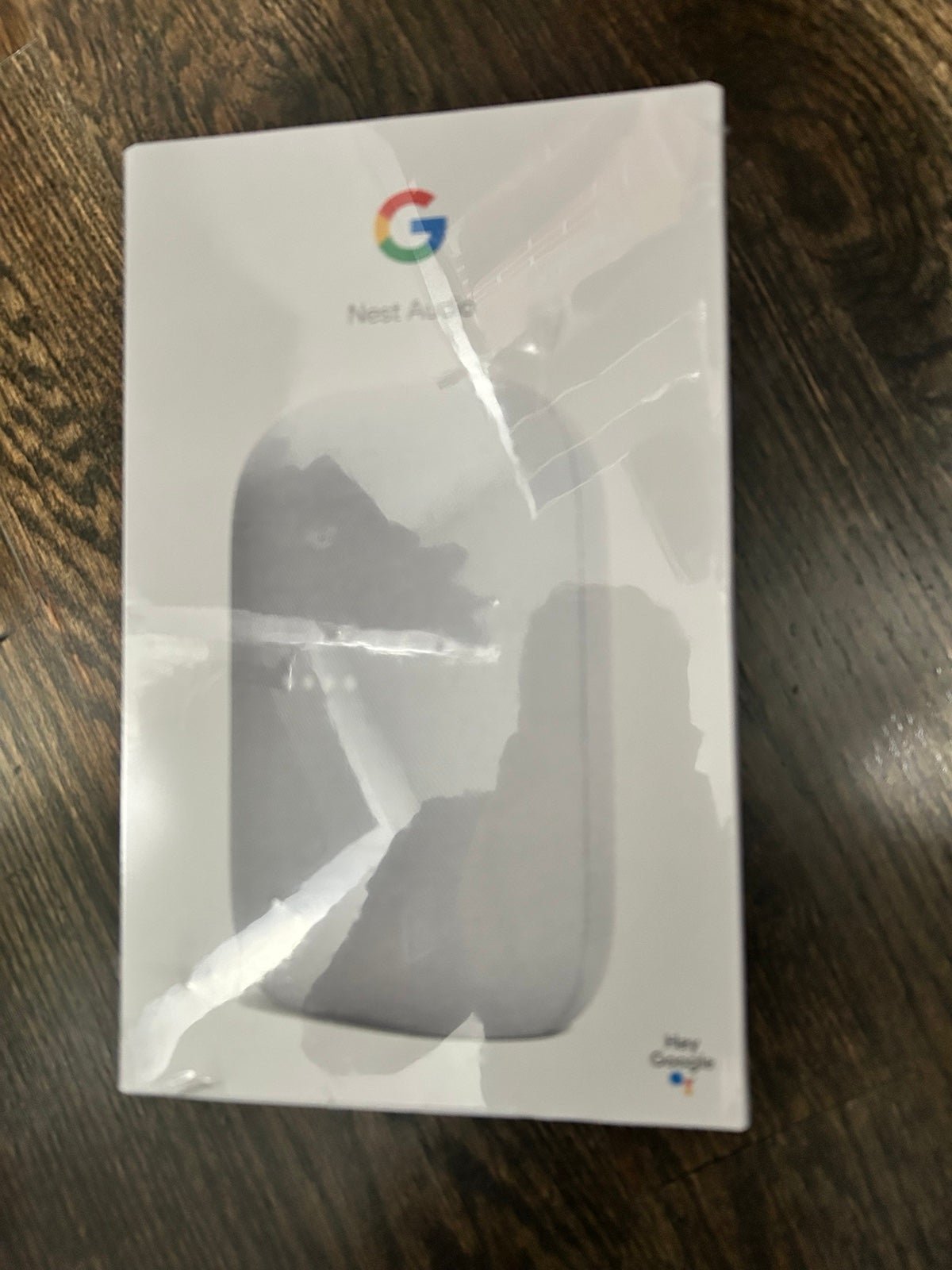 Google Nest audio