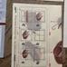 Studio Bernina From Head to Toe Hats & Shoes by Marthe Young