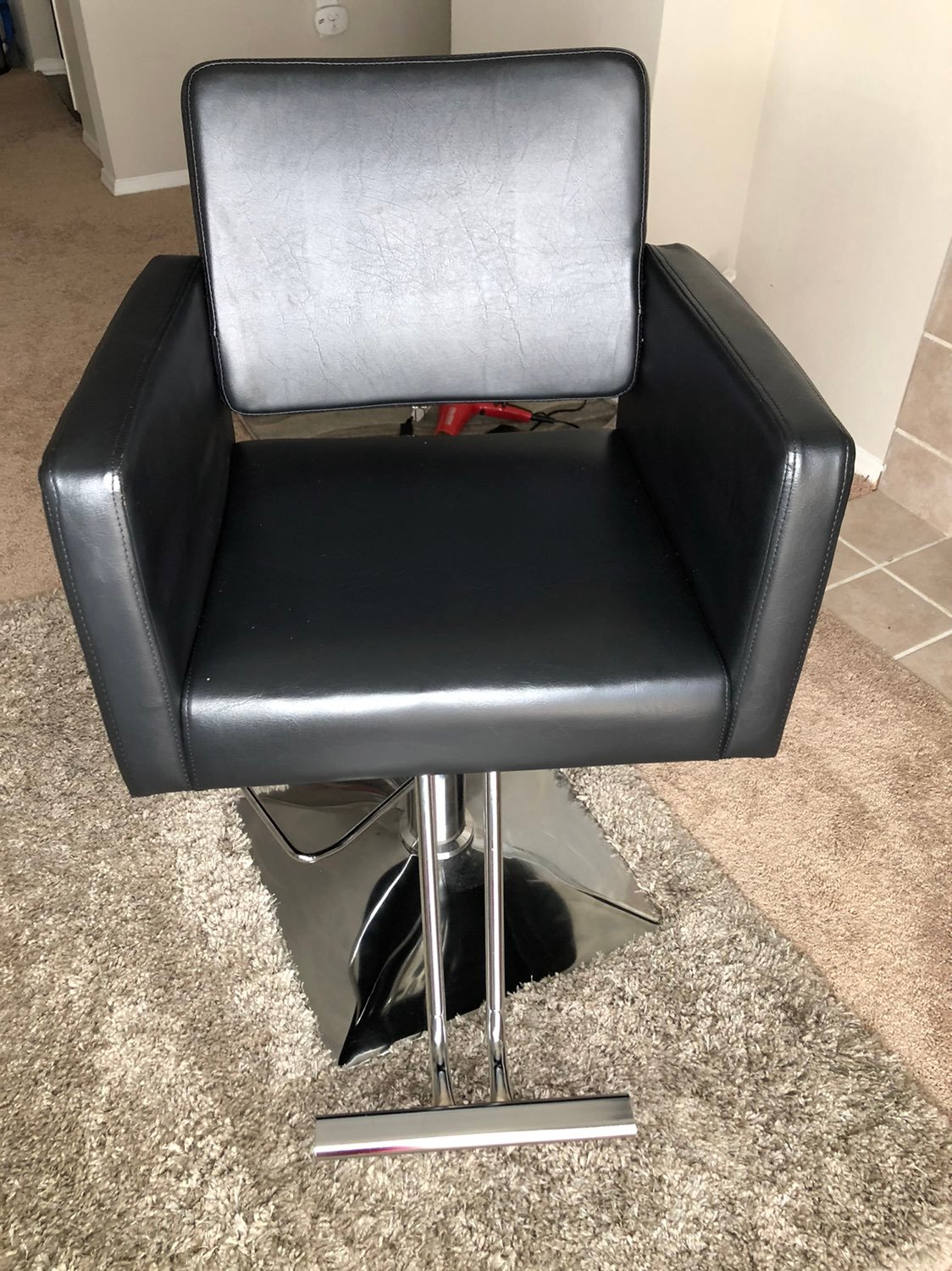 Salon Chair