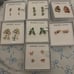 Toy Story Disney Baublebar earrings NEW