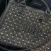 Juicy couture purse