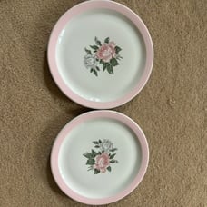 2 Jackson China 10” Pink Rose Dinner Plates Moelk Sales Elyria Ohio