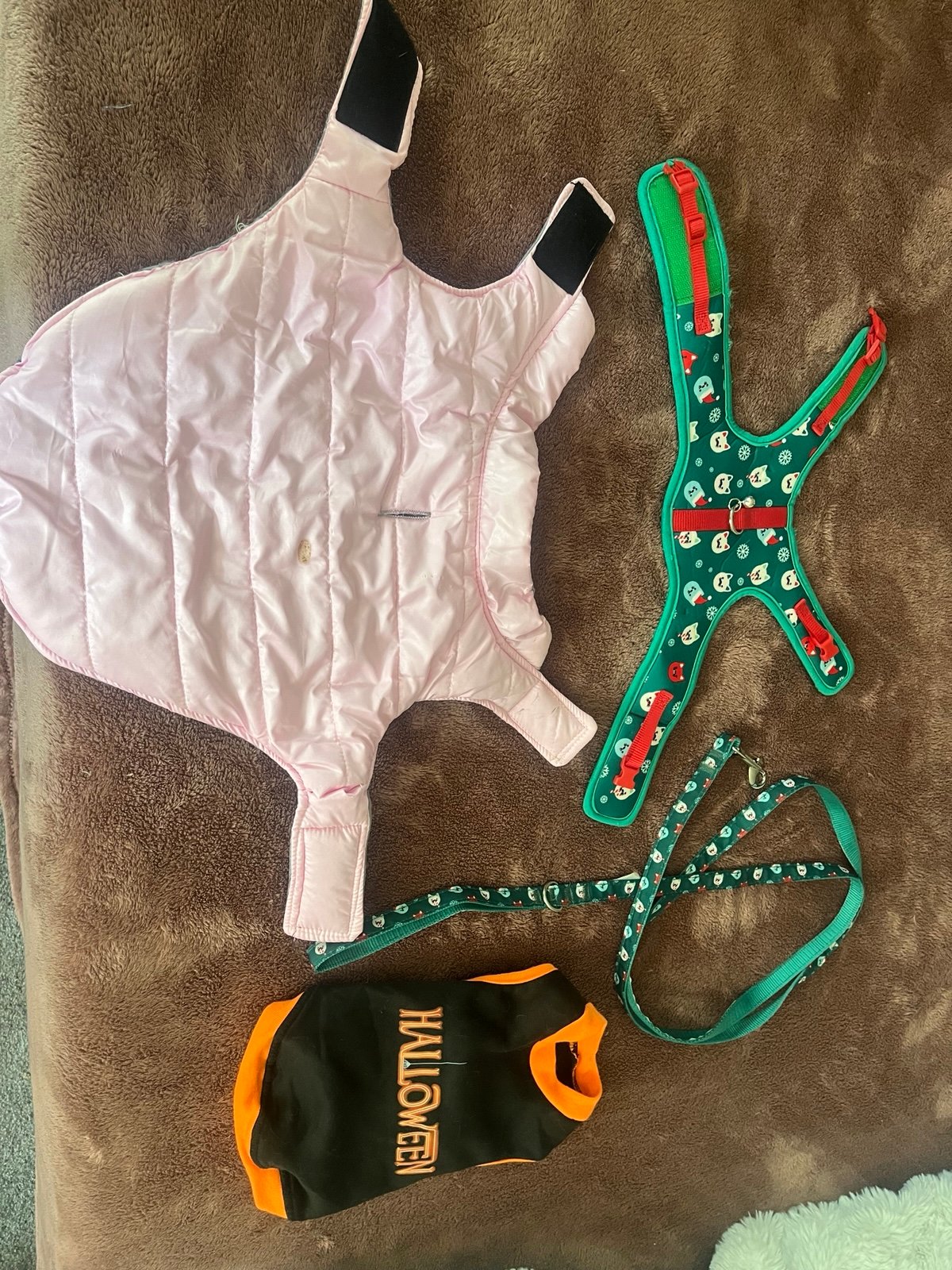 Cat Clothes and Harness