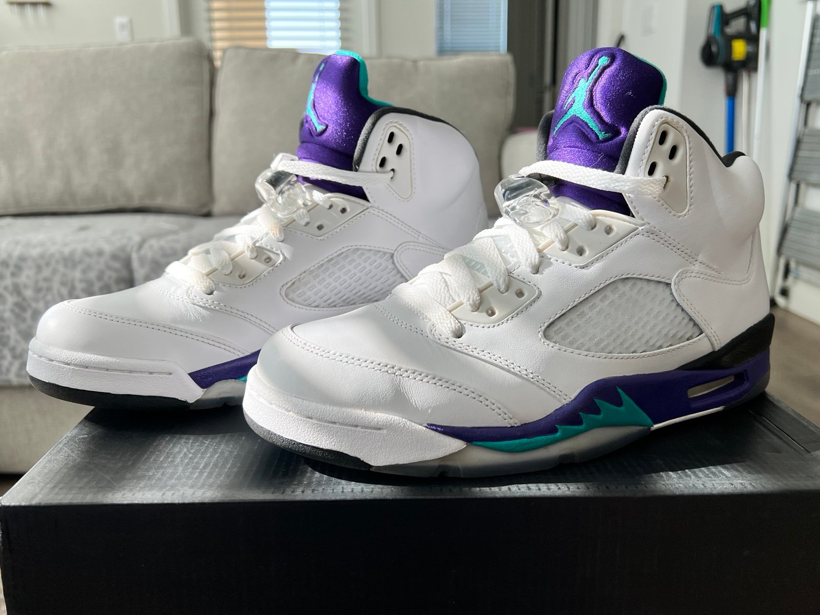 NIKE AIR JORDAN 5 RETRO GRAPE (2013) 136027-108