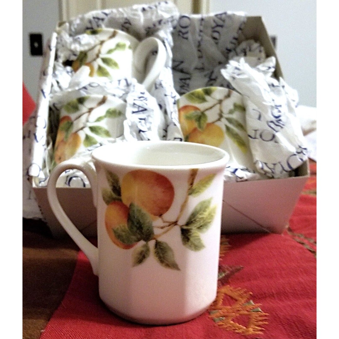 1994 Set of 4 Royal Doulton England Citrus Grove Octagon Shape Mug Original Box