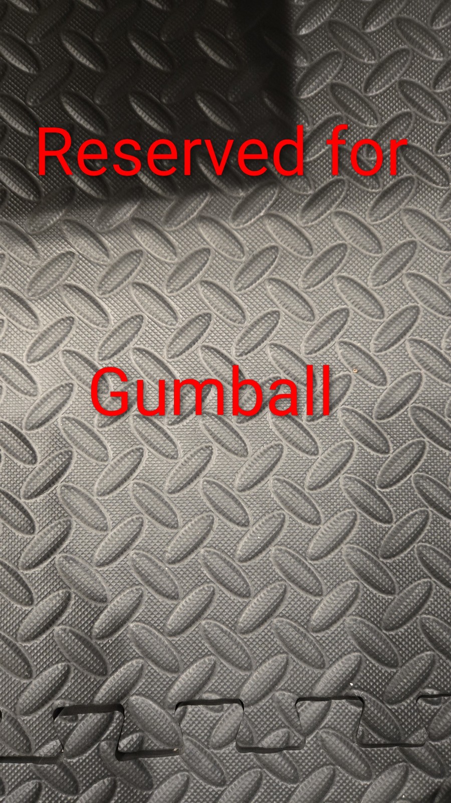 ***RESERVED for Gumball***