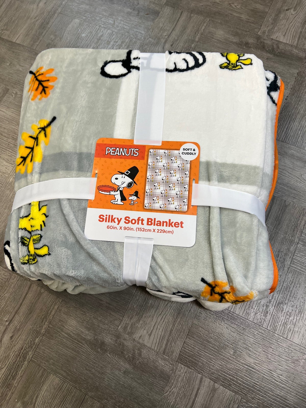 Snoopy Silkly Fall Blanket