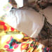Vintage 50’s Abstract Floral Print Swimsuit Bathing Suit Pinup Rose Marie Reid