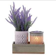 Scentsy Lavender Bouquet July Warmer