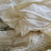 Zara Ivory Bloggers Favorite Women's Lace Dress With Bow