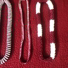 Graduation Leis