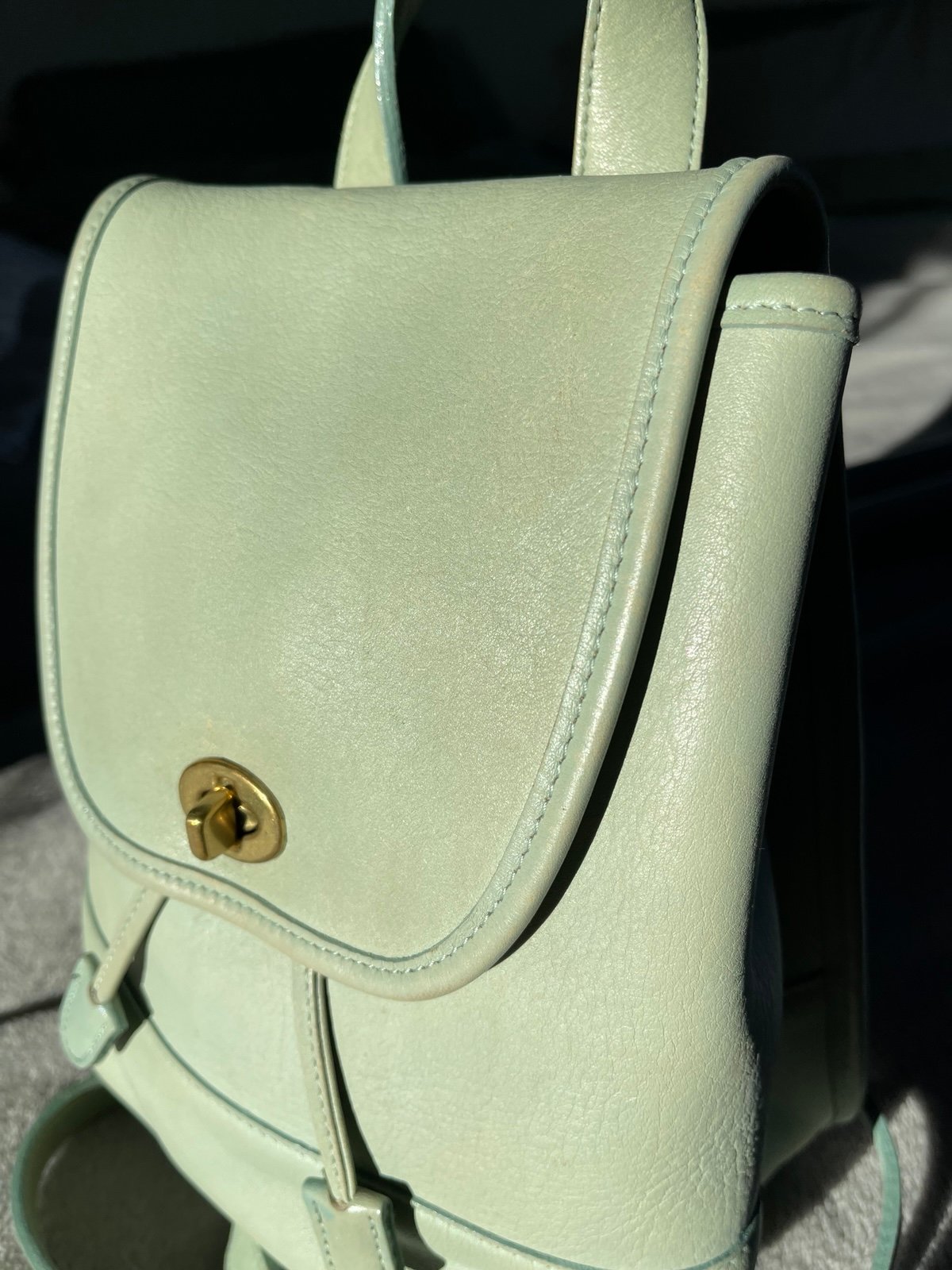 Vintage Coach Daypack