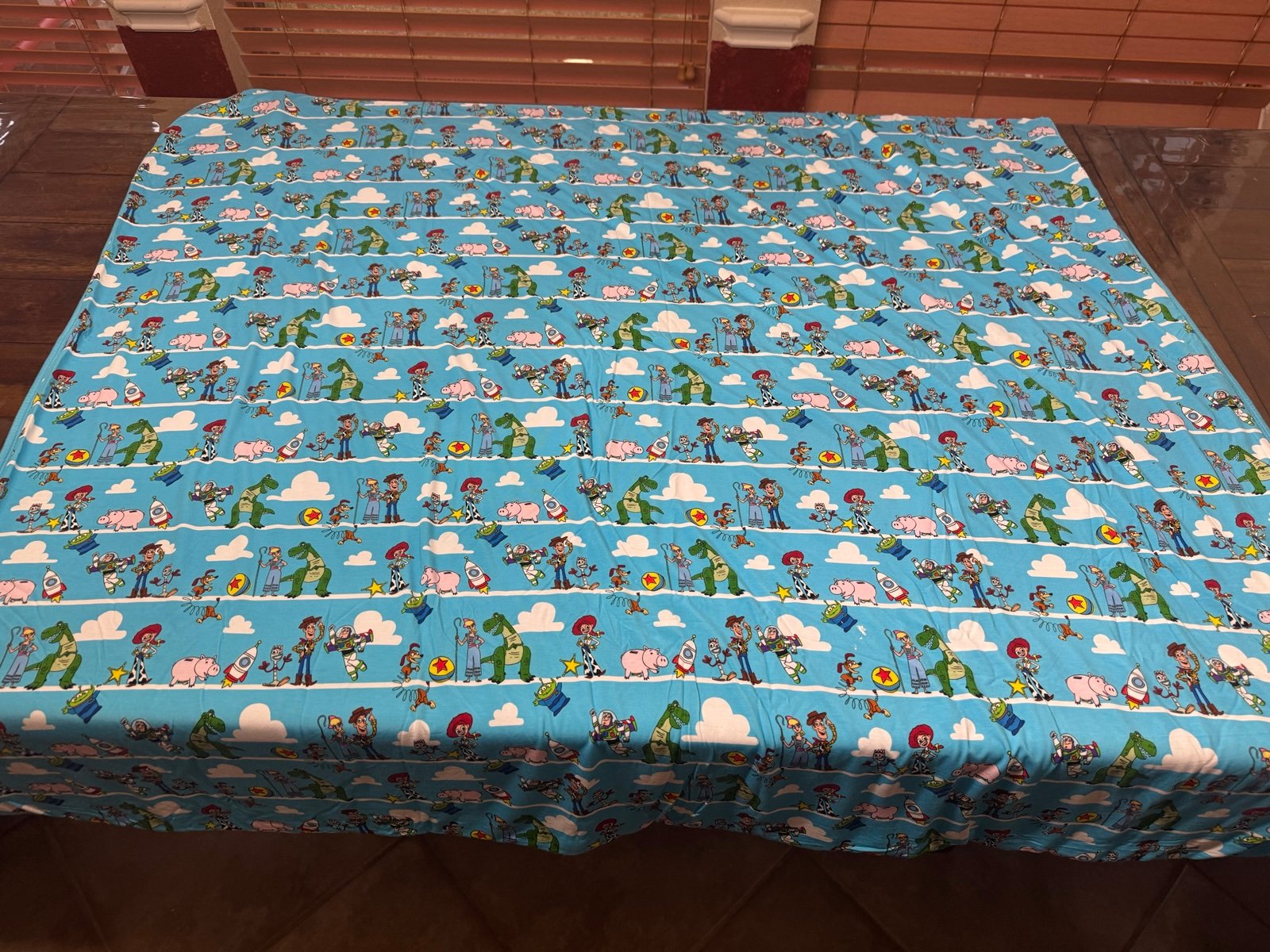 Toy Story cloud blanket