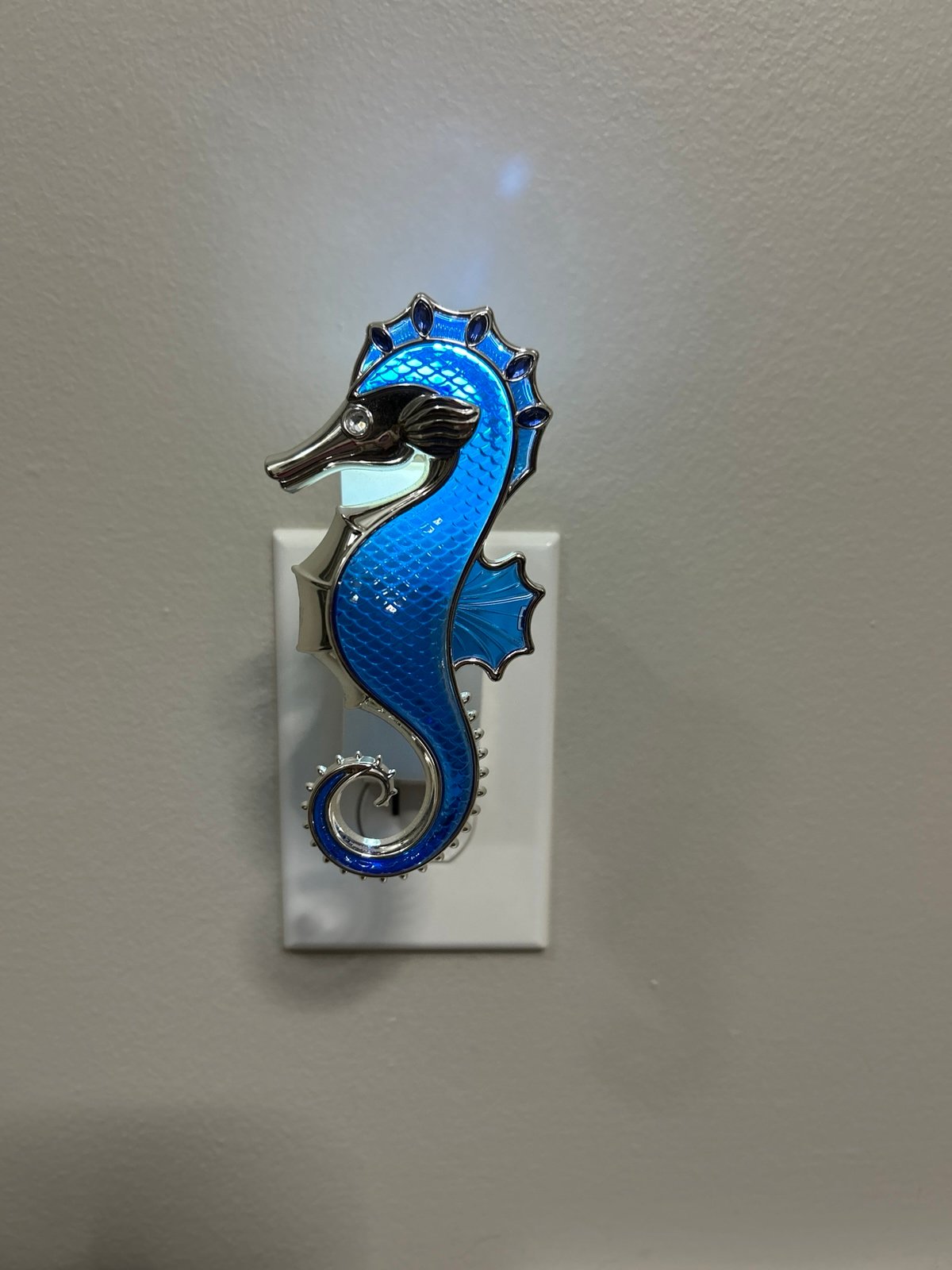 Seahorse wallflower plug in