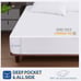 Sealy Heated Mattress Pad Twin