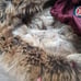 1 Madison Faux FurTrim Quilted Down Parka