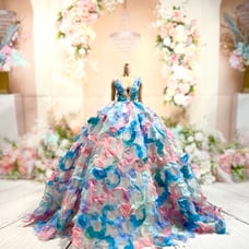 Dress for fashion royalty doll