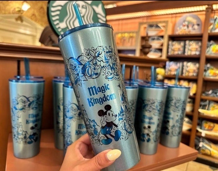 Disney Parks 2023 Magic Kingdom Castle Park Icons Metal Tumbler Cup Starbucks