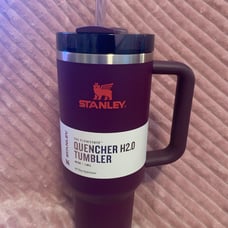 Stanley 40oz H2.0 - Plum - BNWT