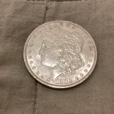 1902 Morgan dollar (Better date in higher grade) potentially polished.
