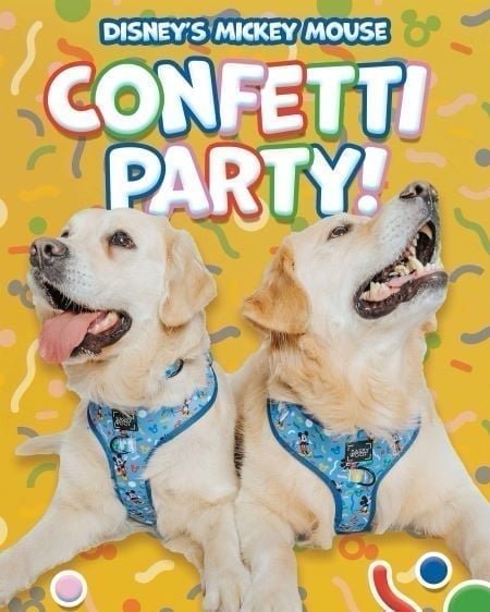 NWT✨ 3pc set Sassy Woof x Petsmart Disney Mickey Mouse sz XS S