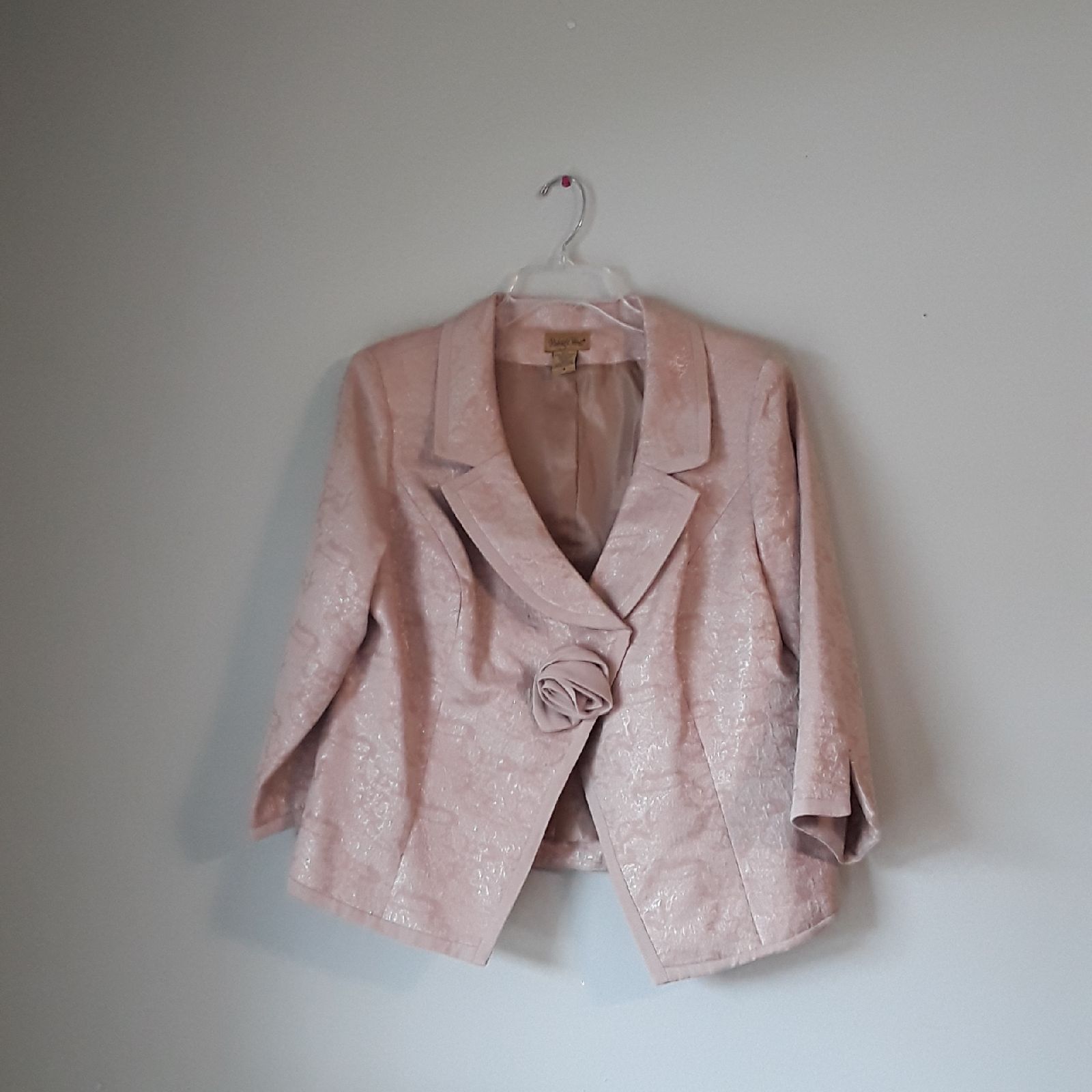Tan Shimmer Skirt And Blazer Suit