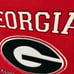Georgia Bulldogs Vintage Banner National Champions 1942 1982