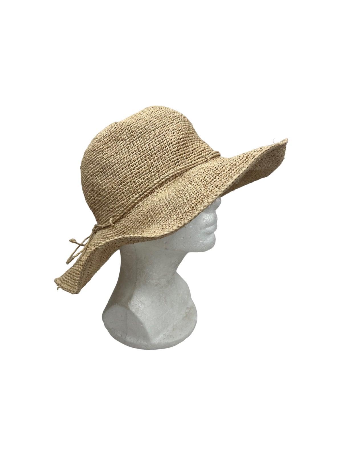 Helen Kaminski Raffia Wide Brim Hat