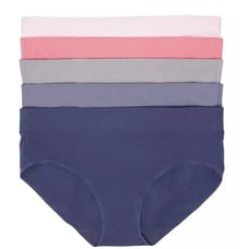 Felina Pima Cotton Wide Waistband Hipster 5-Pack size XL Brand New