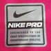 Champion Double Dry Shorts & Nike Dri- Fit Top