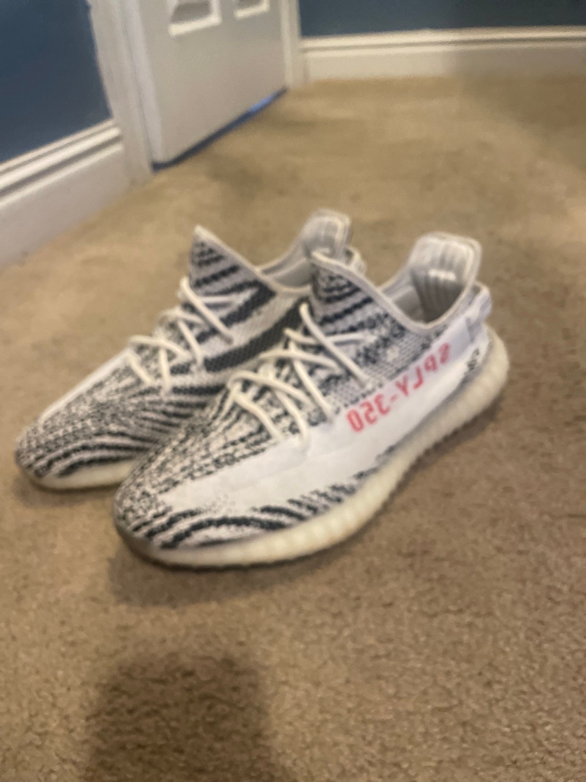 Yeezy 350 zebra
