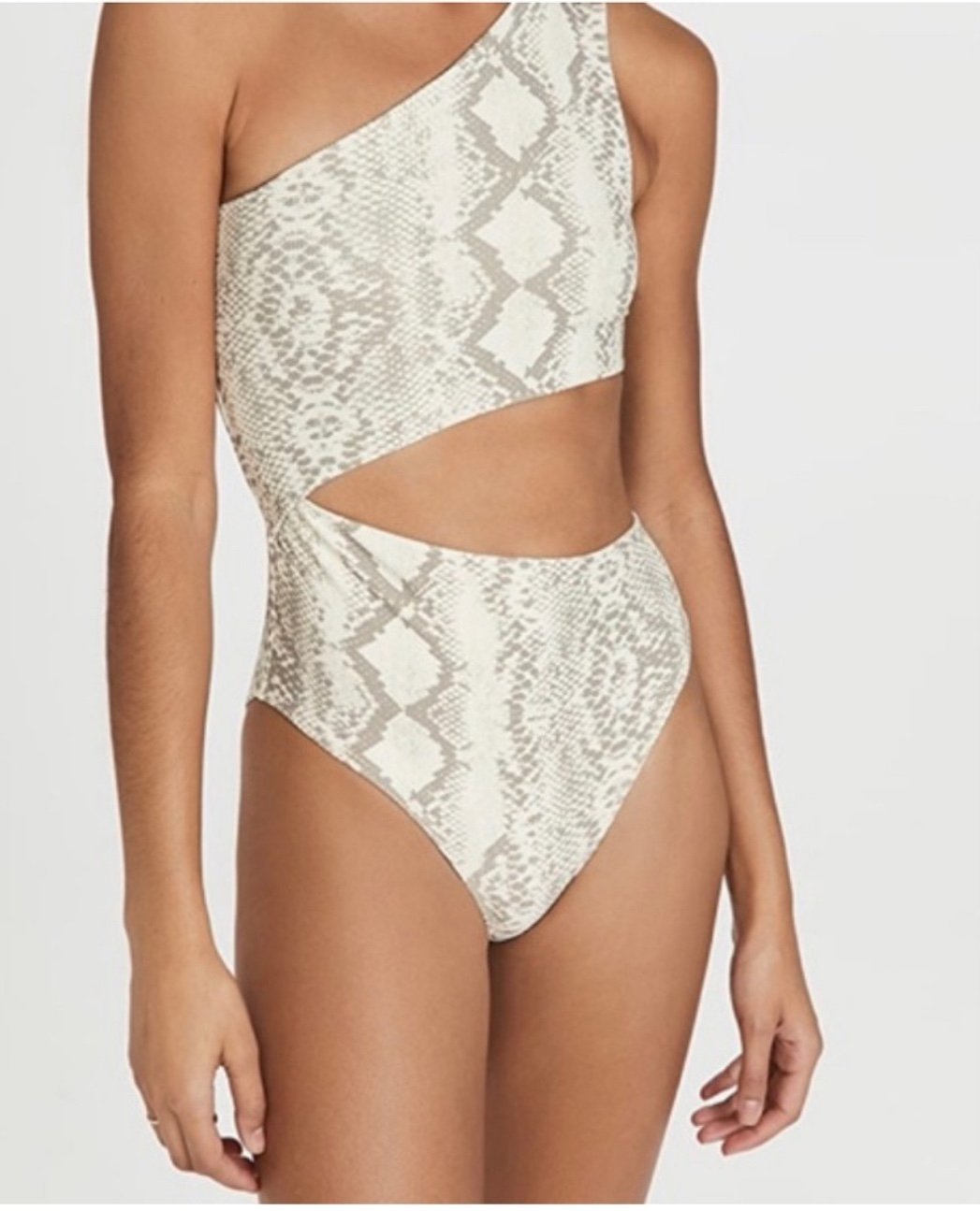 Beach Riot Snakeskin Pattern Celine One Piece Cutout Swimsuit Women’s S